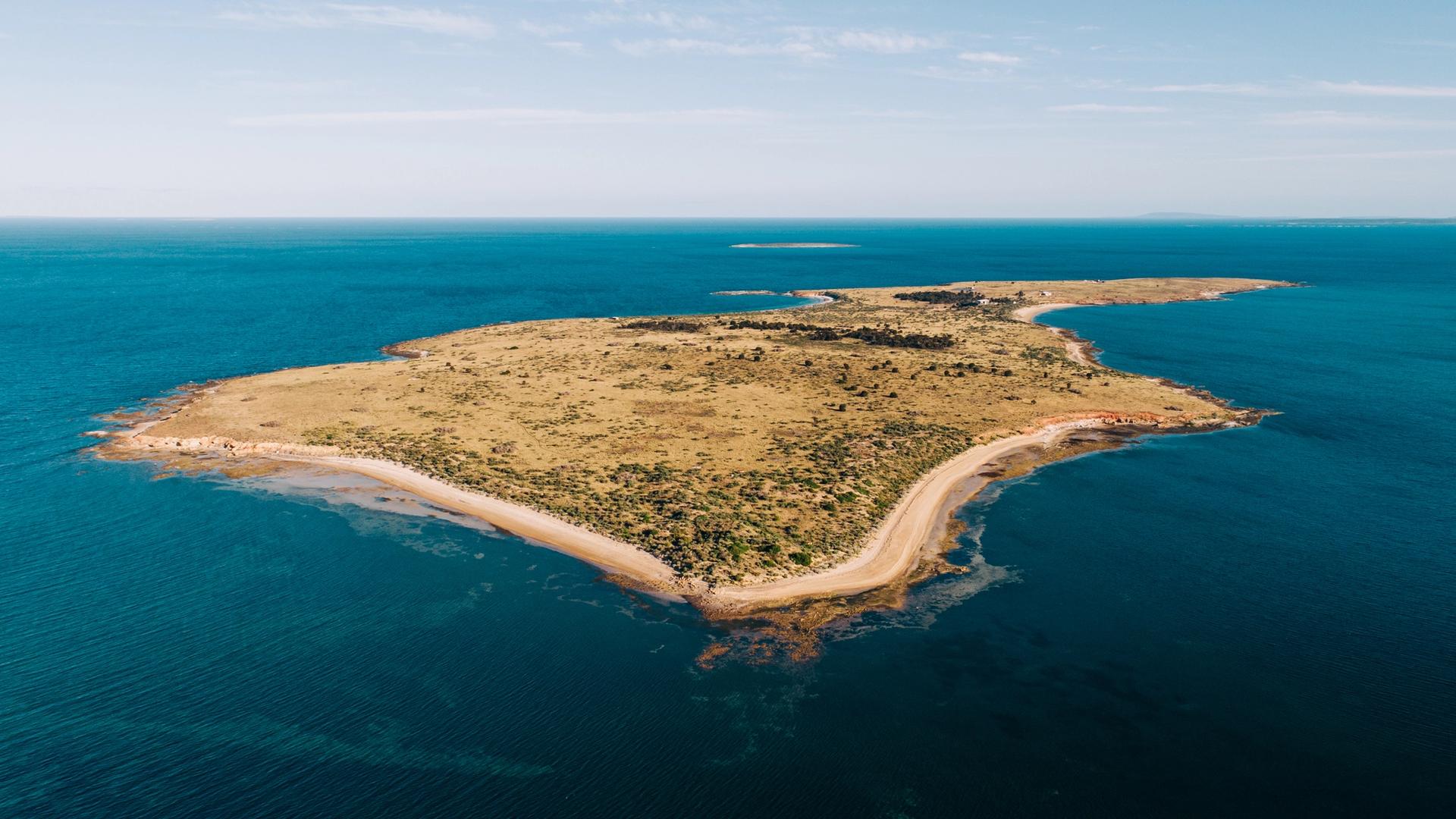 The Whitsundays vs. The Eyre Peninsula: Why the Smart Money is Heading South