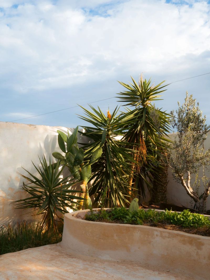 A piece of my mom's garden in Djerba, Tunisia