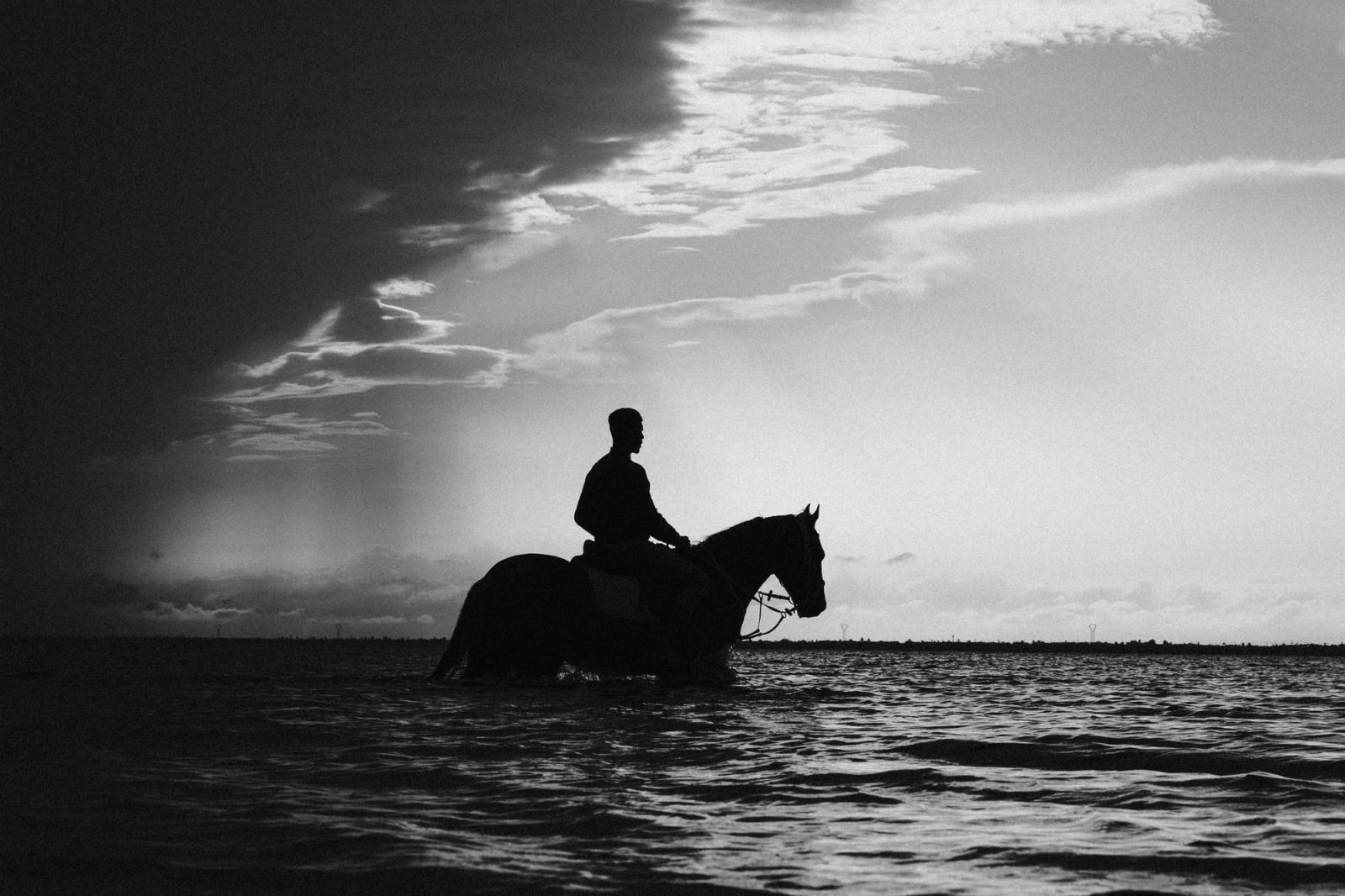 Rider, riding his horder in the sea. Djerba, Tunisia