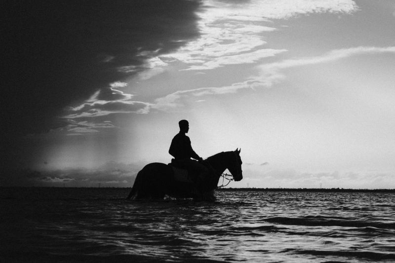 Rider, riding his horder in the sea. Djerba, Tunisia