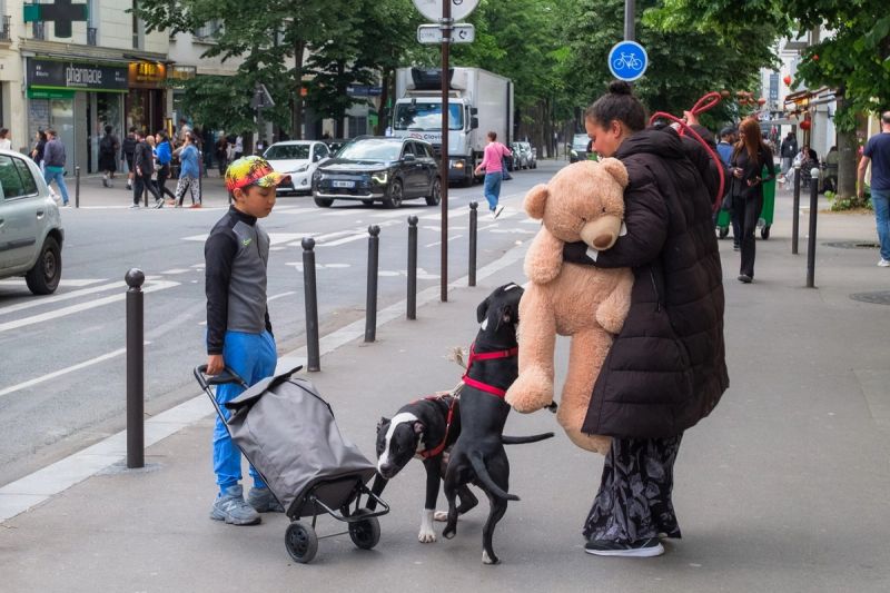 Teddy Bear Doggies — Paris, France