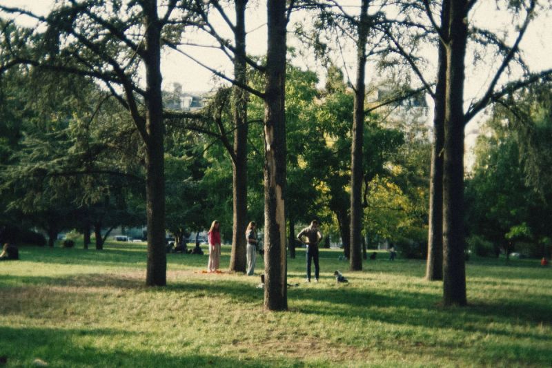 Paris Oreo Vincenne Trees 2