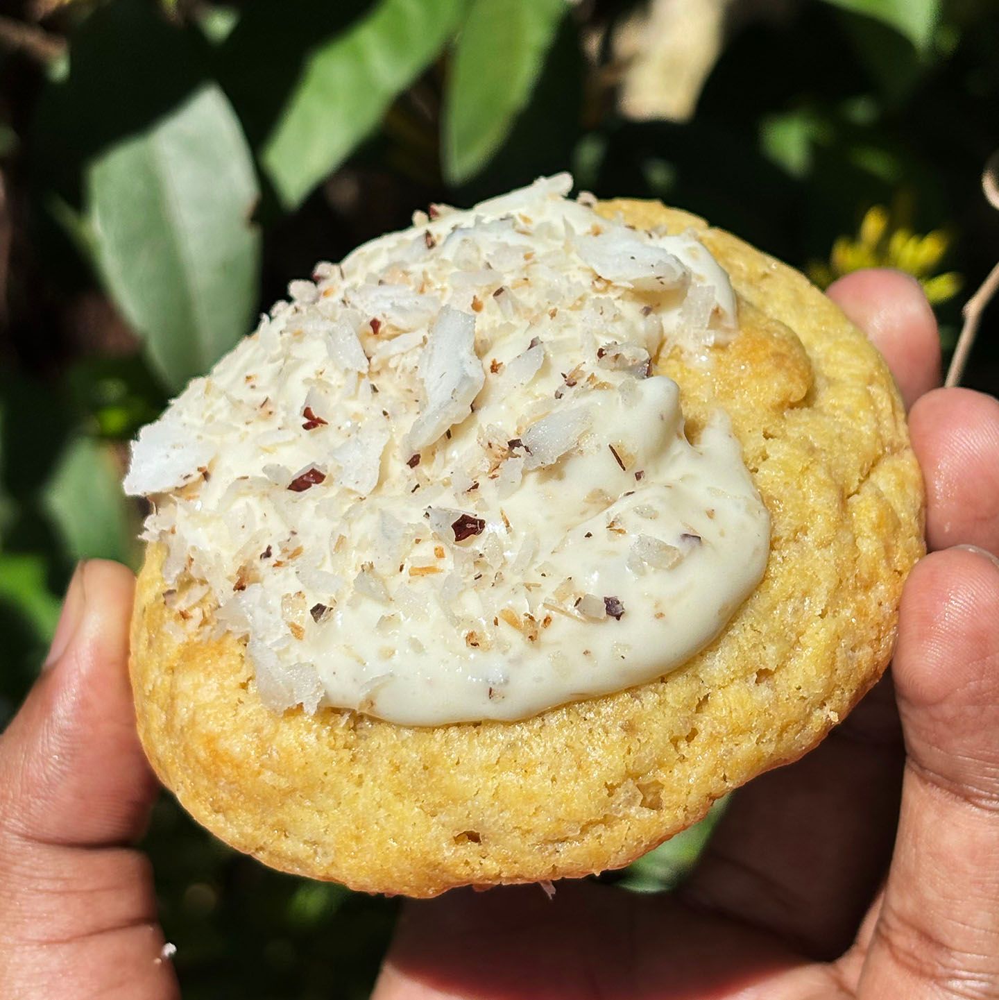 Crunchy Coconut Cookies