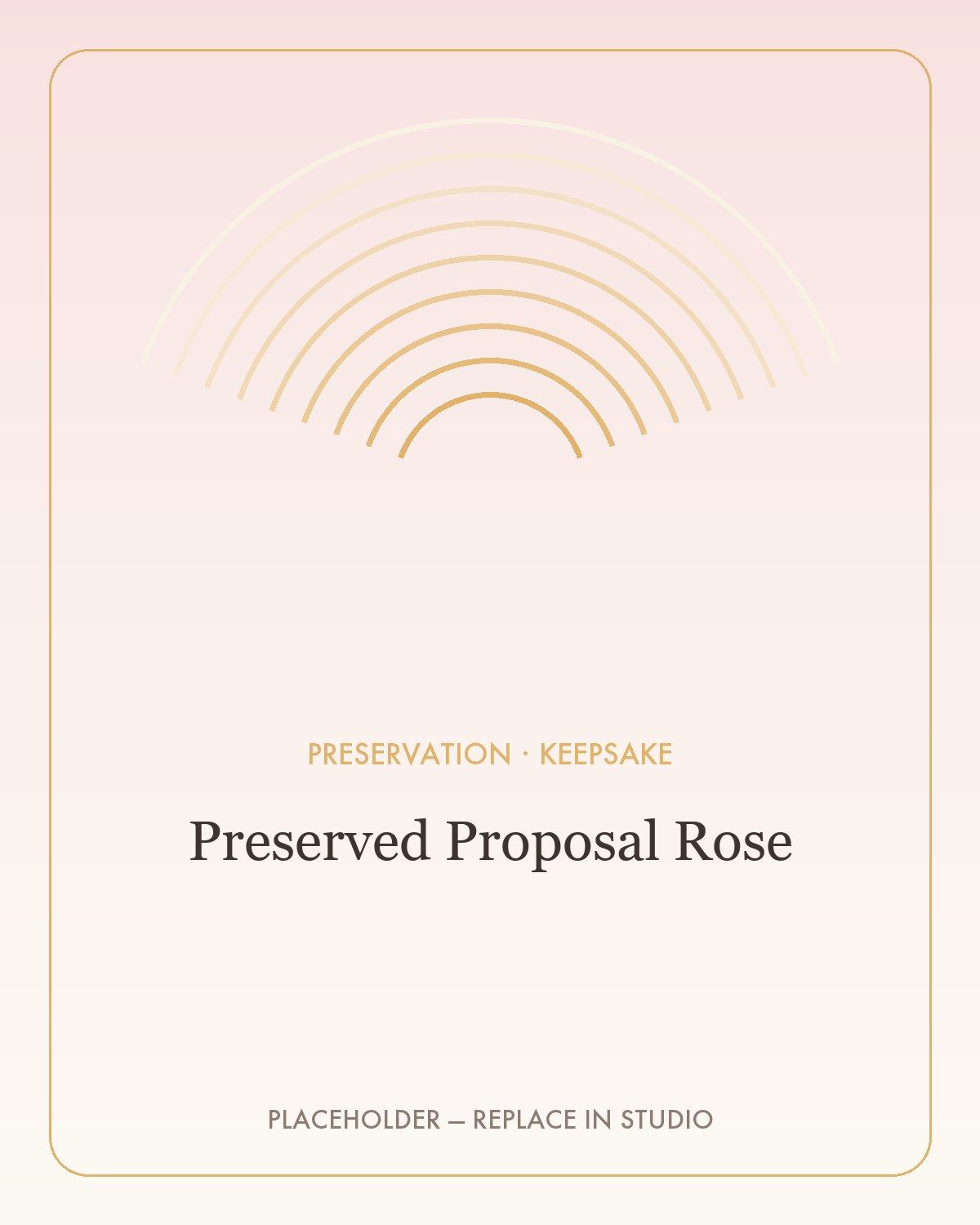 Preserved Proposal Rose