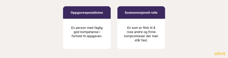 Ulike roller i gruppeprosjekter. Grafisk fremstilling.