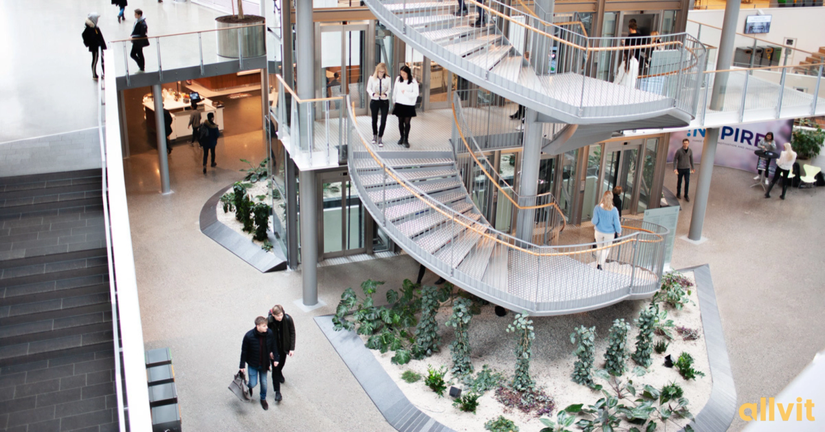 Studenter ved Handelshøyskolen BI. Foto.