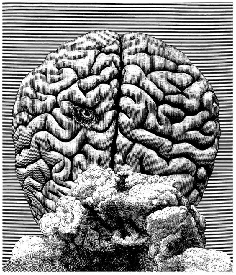 Cyberiad — brain-coral