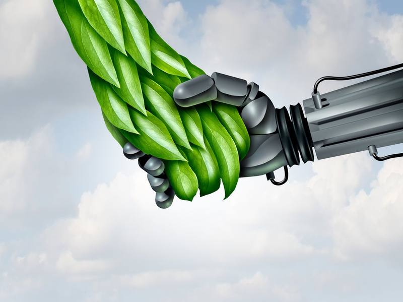 How Nature is Inspiring AI Algorithms