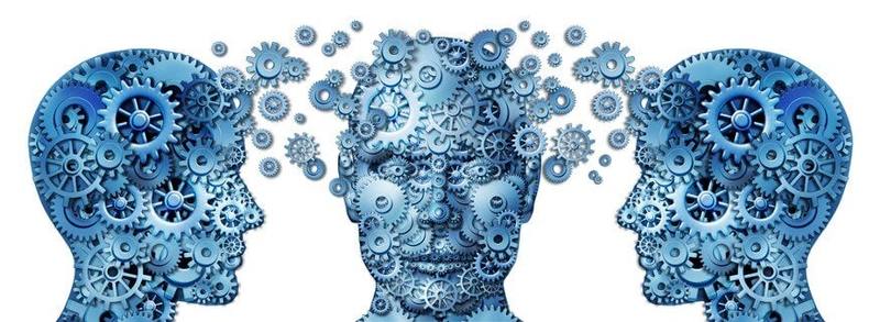 Build and grow cross-company knowledge