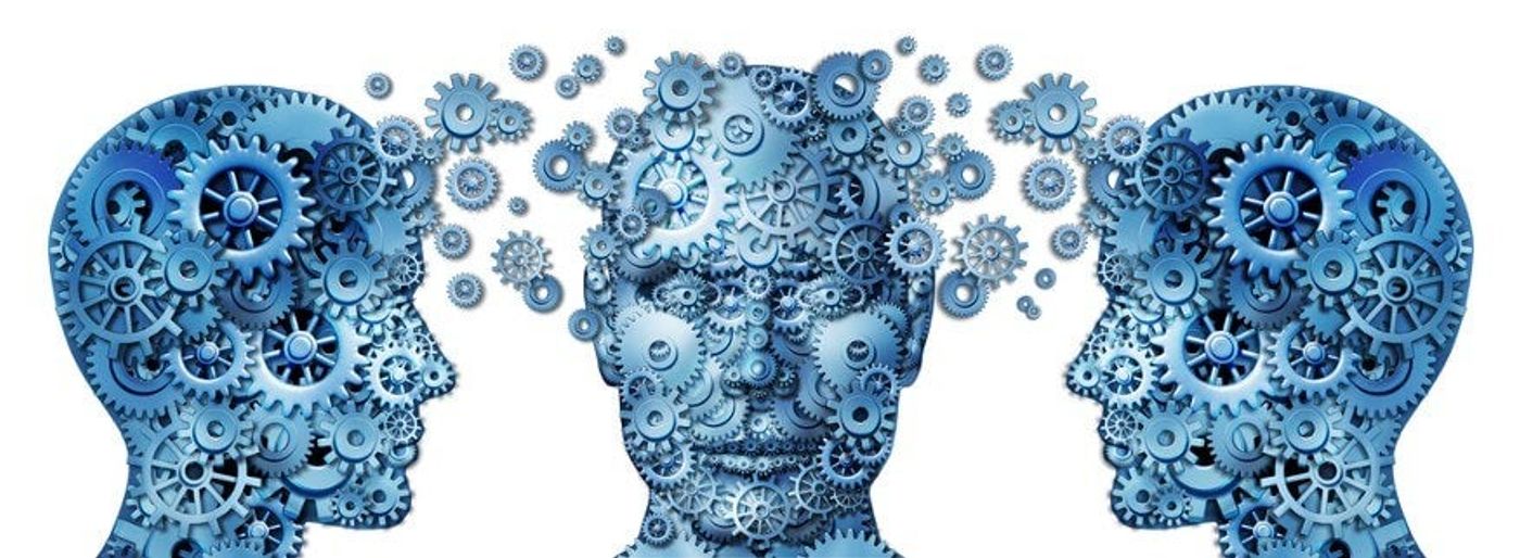 Build and grow cross-company knowledge