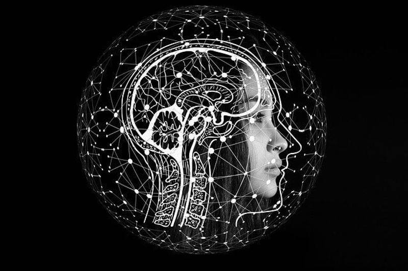The Value and Advantages of Data Science