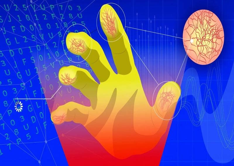An introduction to Vein Pattern Recognition Technology