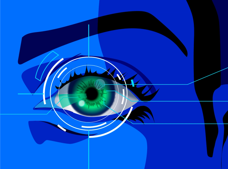 The fundamentals of Iris Recognition