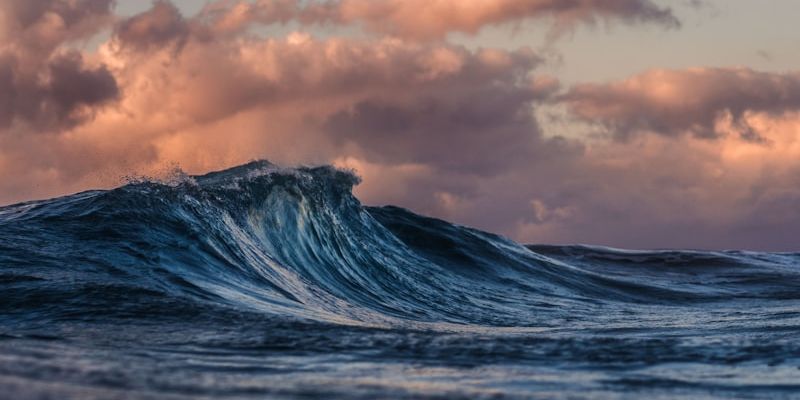 DNA-Based Nutrition: The Future of Personal Diets