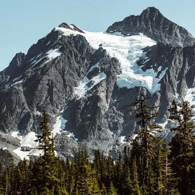 Nitrate-Rich Beet & Berry Pre-Workout Juice