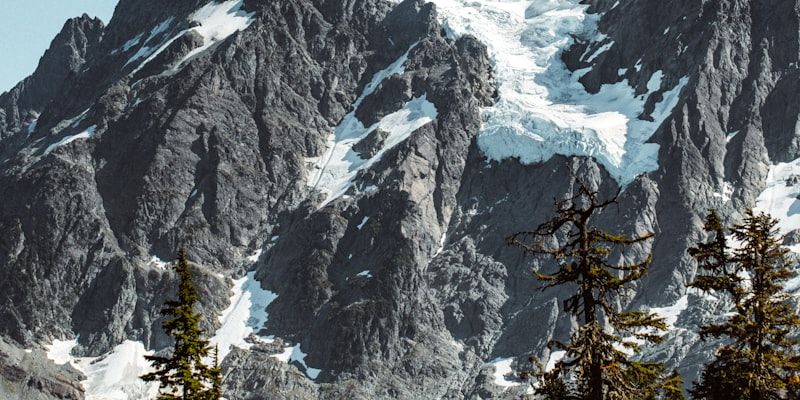 Nitrate-Rich Beet & Berry Pre-Workout Juice