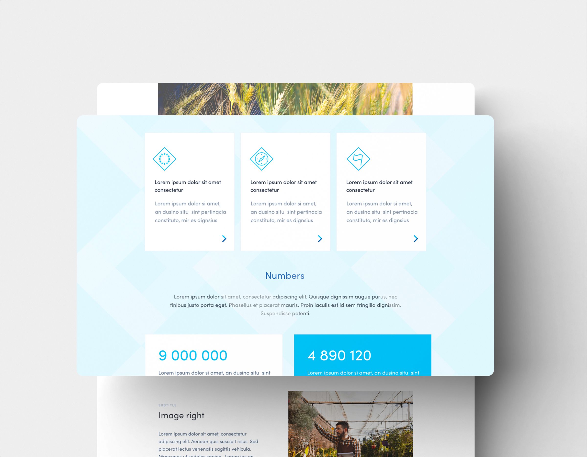 Ecco siteweb simpl