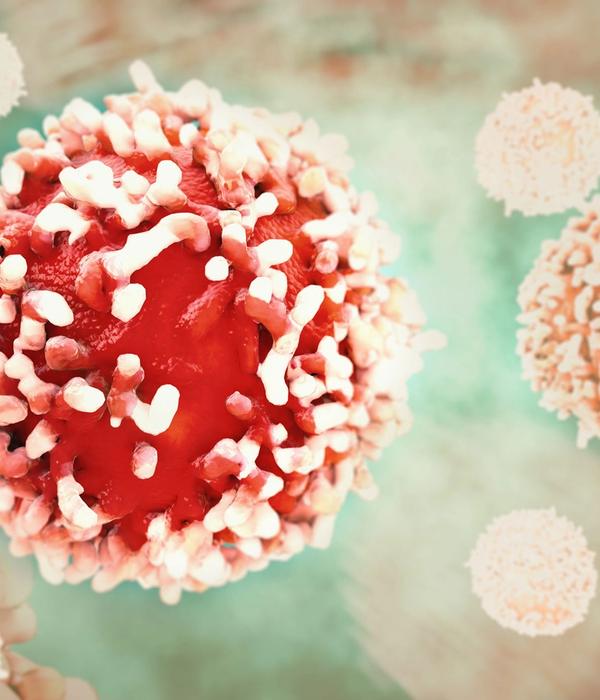 ECCO - European Cancer Organisation