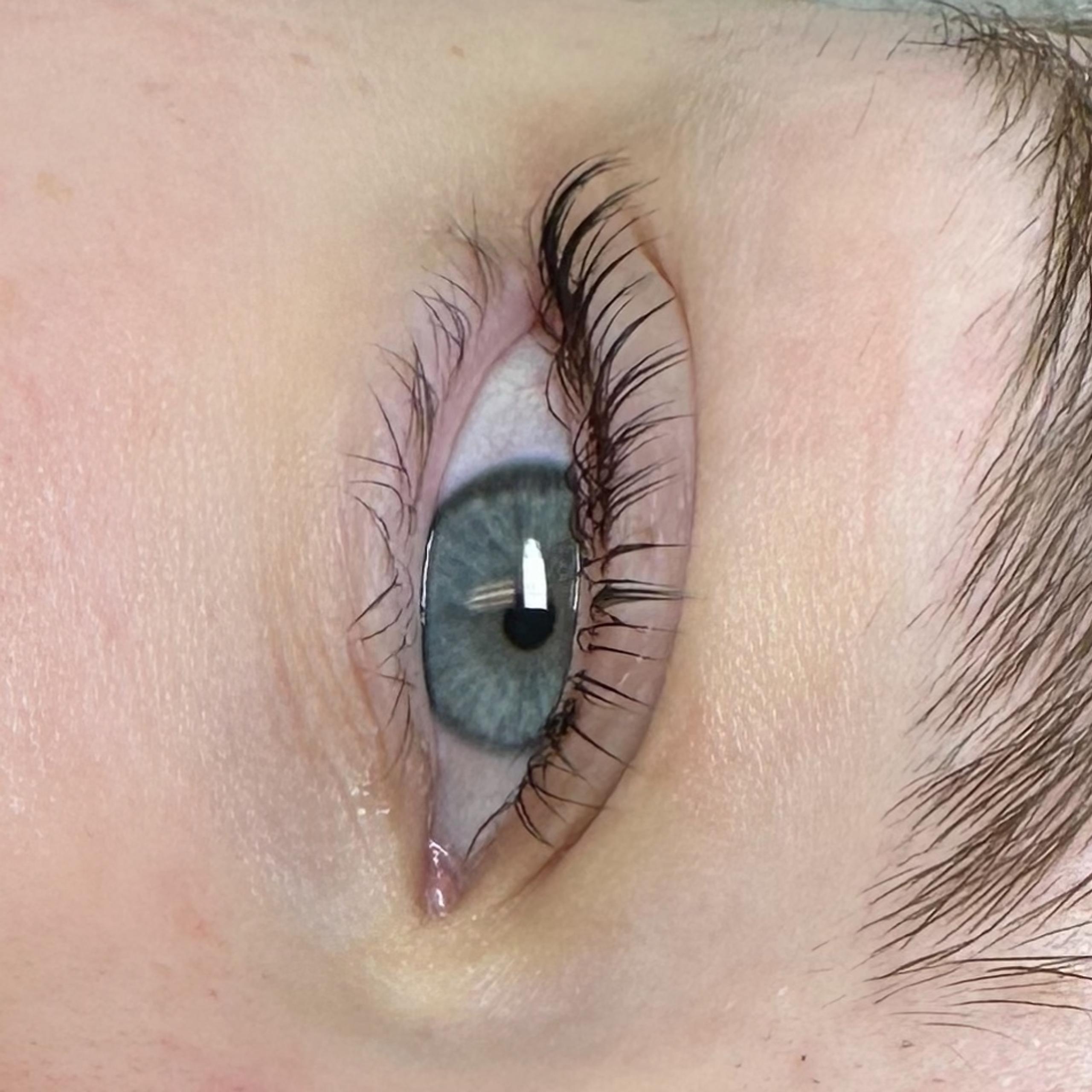 Close-up of two blue-gray eyes with neatly curled and tinted eyelashes and natural brown eyebrows.