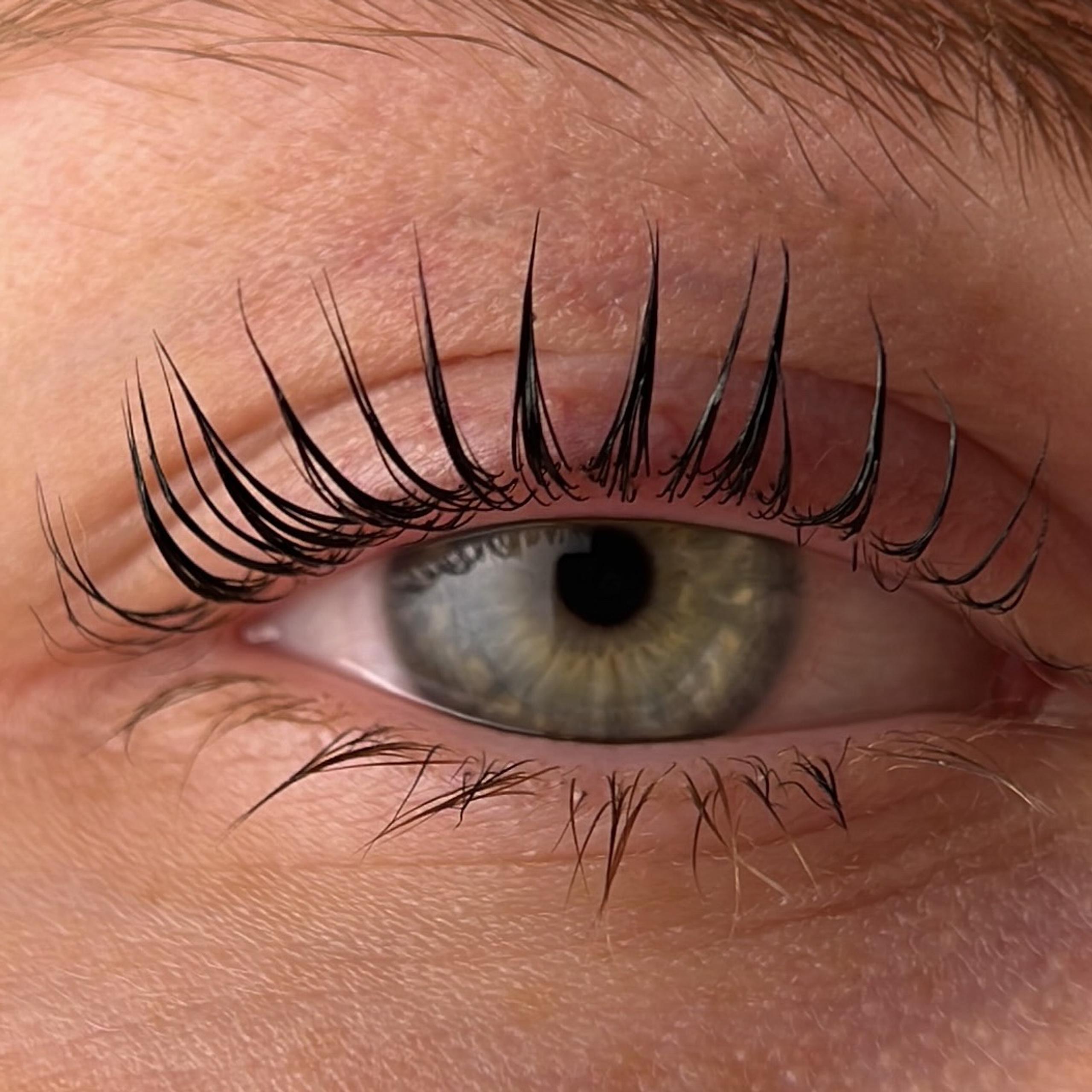 Lifted lashes after treatment.