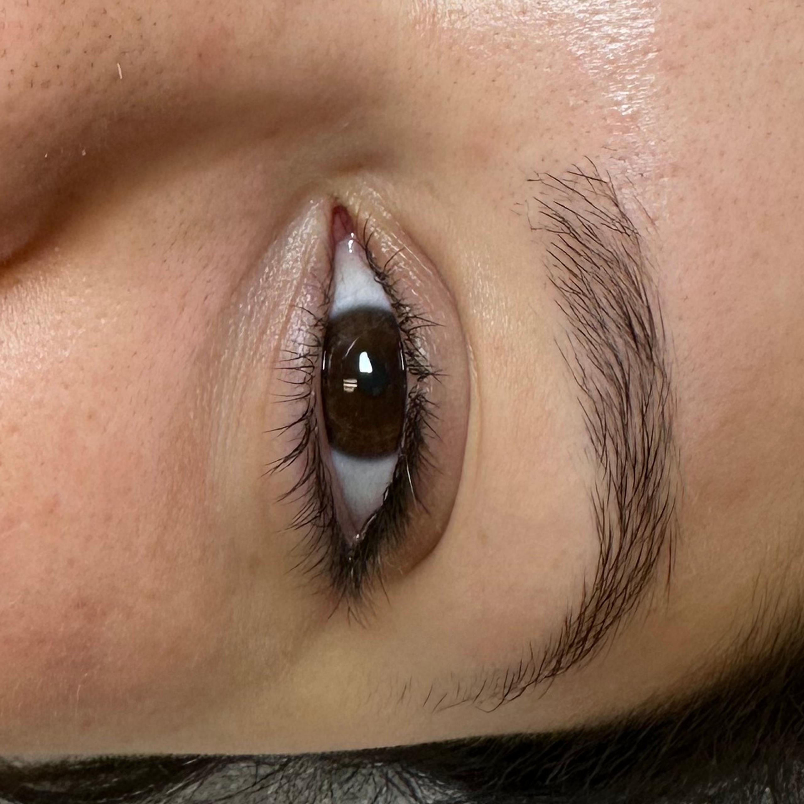 Client’s natural lashes before a lash lift.