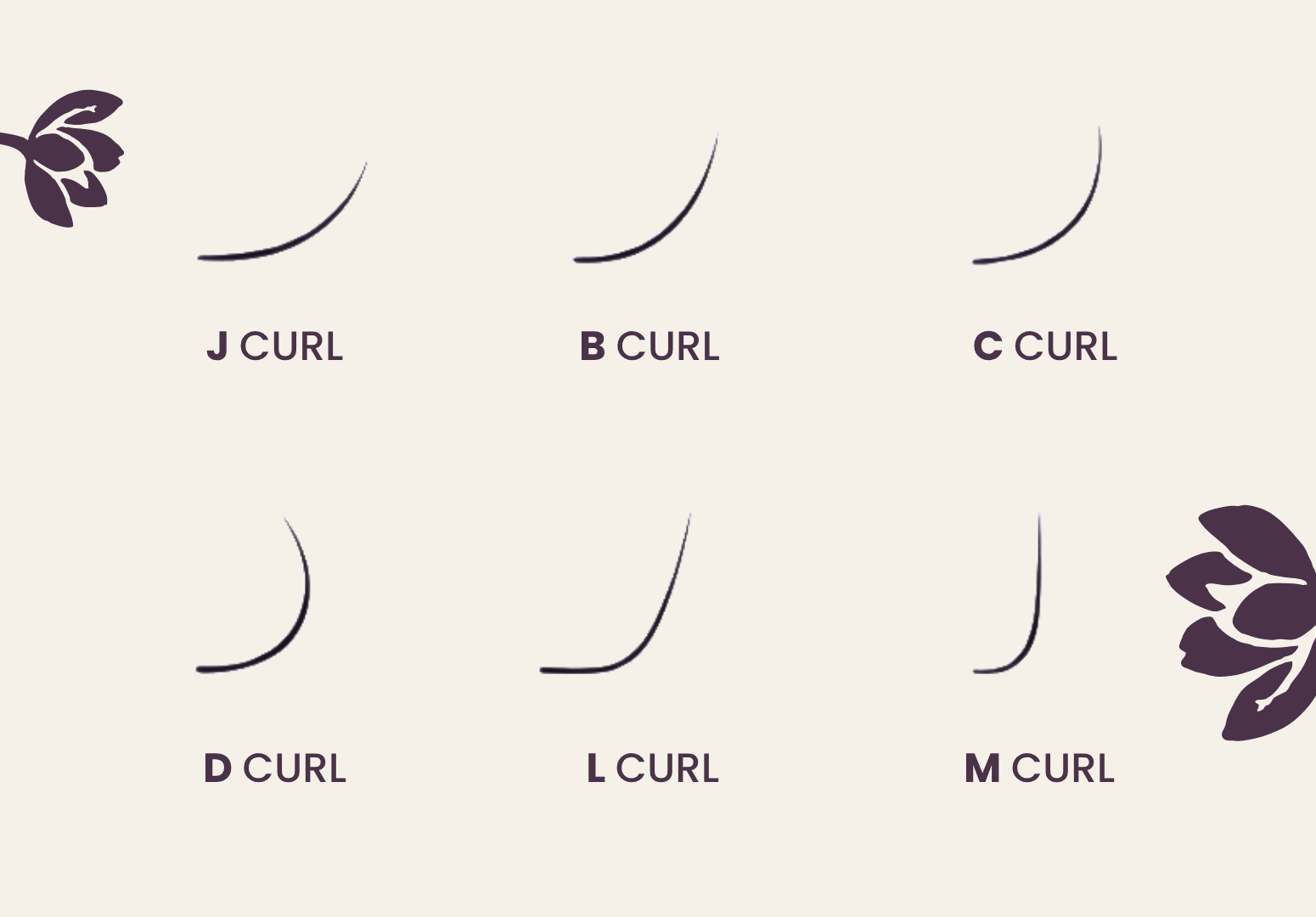 types of eyelash extension lines and flowers