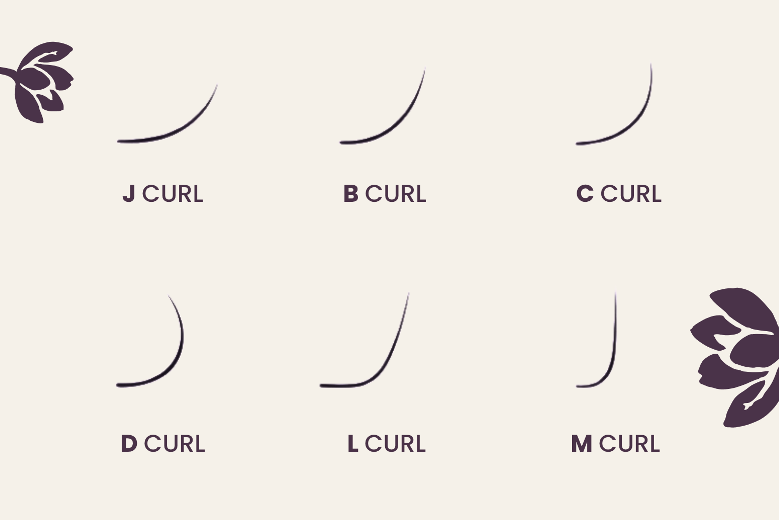 types of eyelash extension lines and flowers