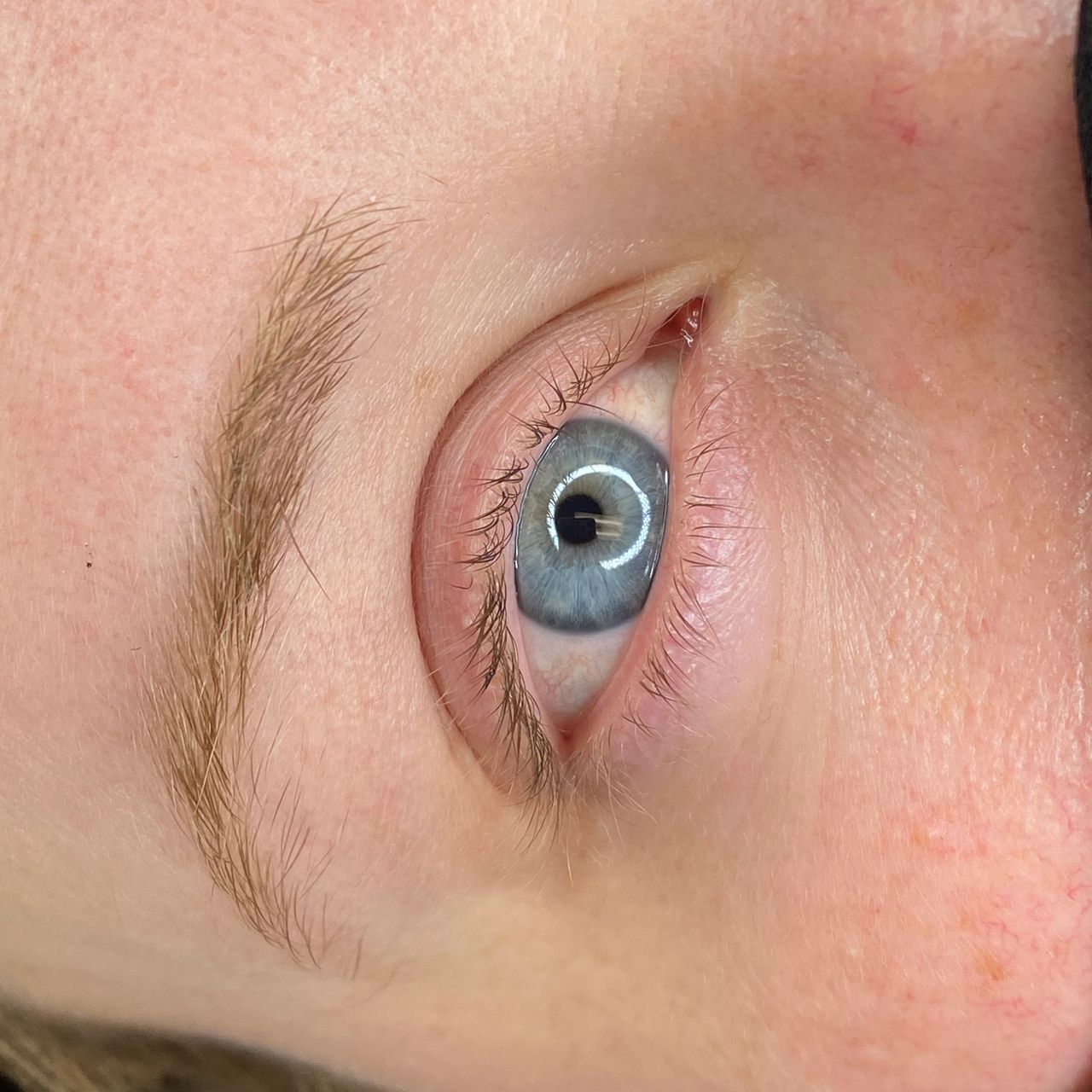 A close-up of a blue eye with light brown eyelashes and eyebrow.
