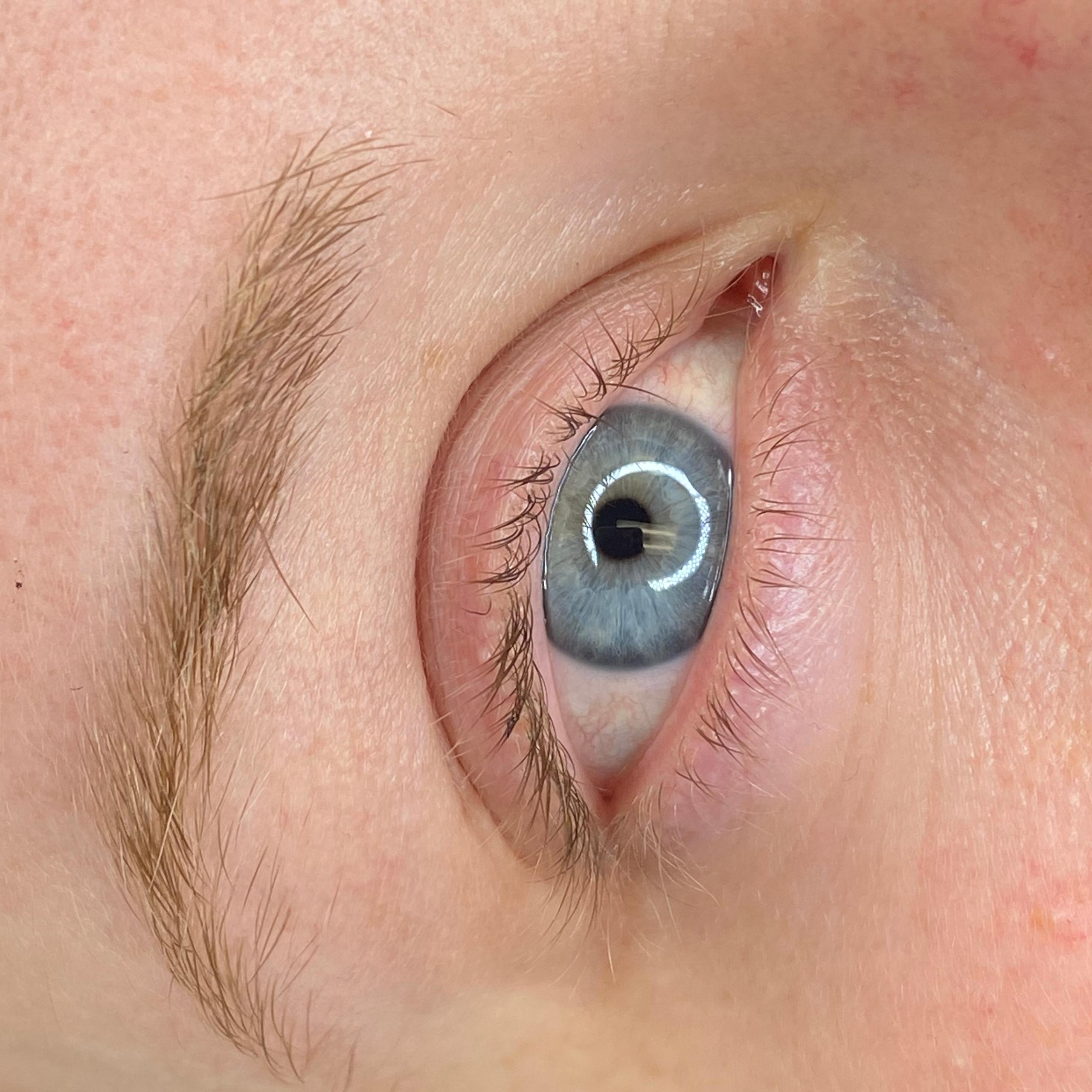 A close-up of a blue eye with light brown eyelashes and eyebrow.