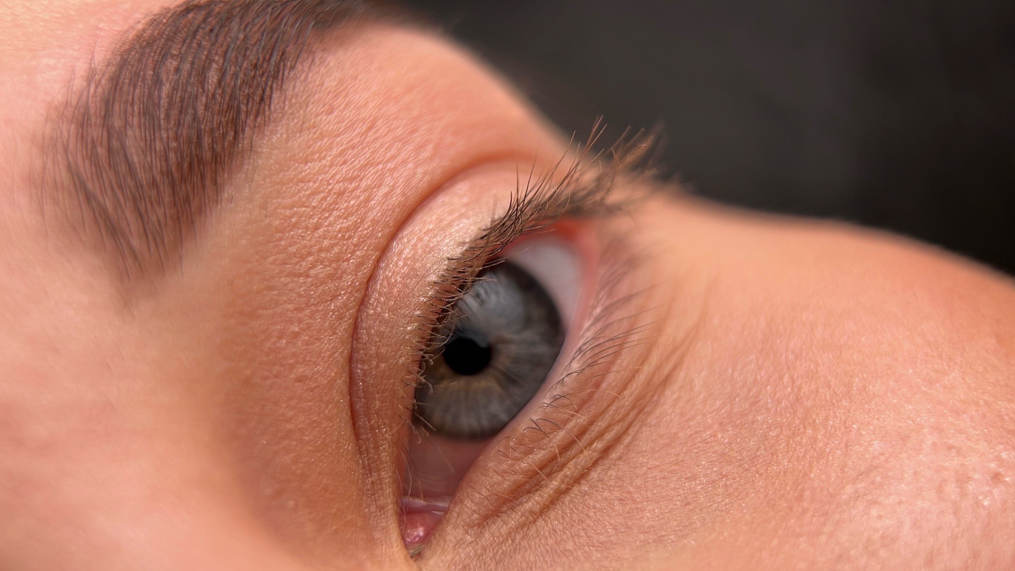 Close-up of a person's two blue-grey eye and brown eyebrows.