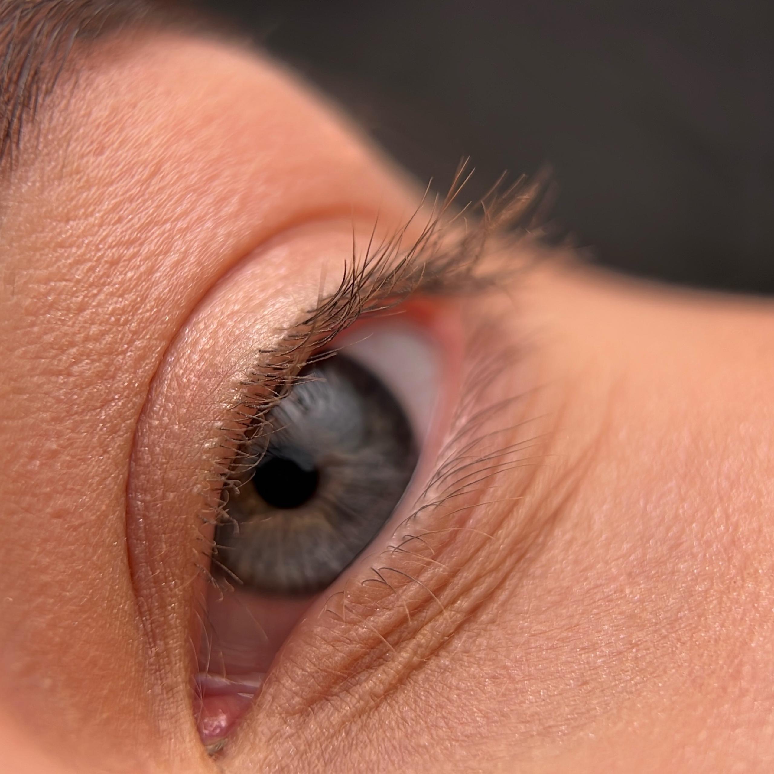 Close-up of a person's two blue-grey eye and brown eyebrows.