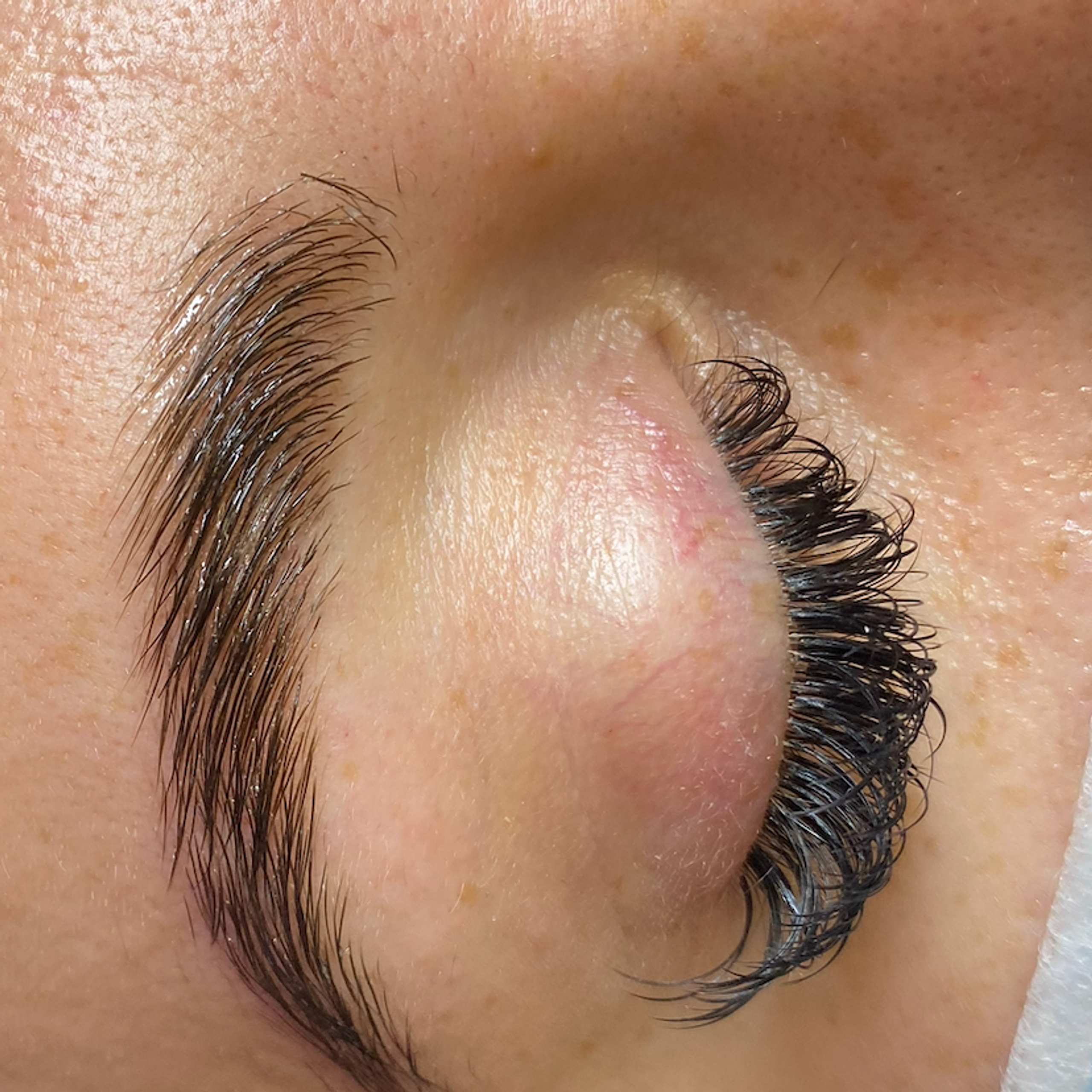 Close-up of a person's closed eye, featuring a brushed-up eyebrow