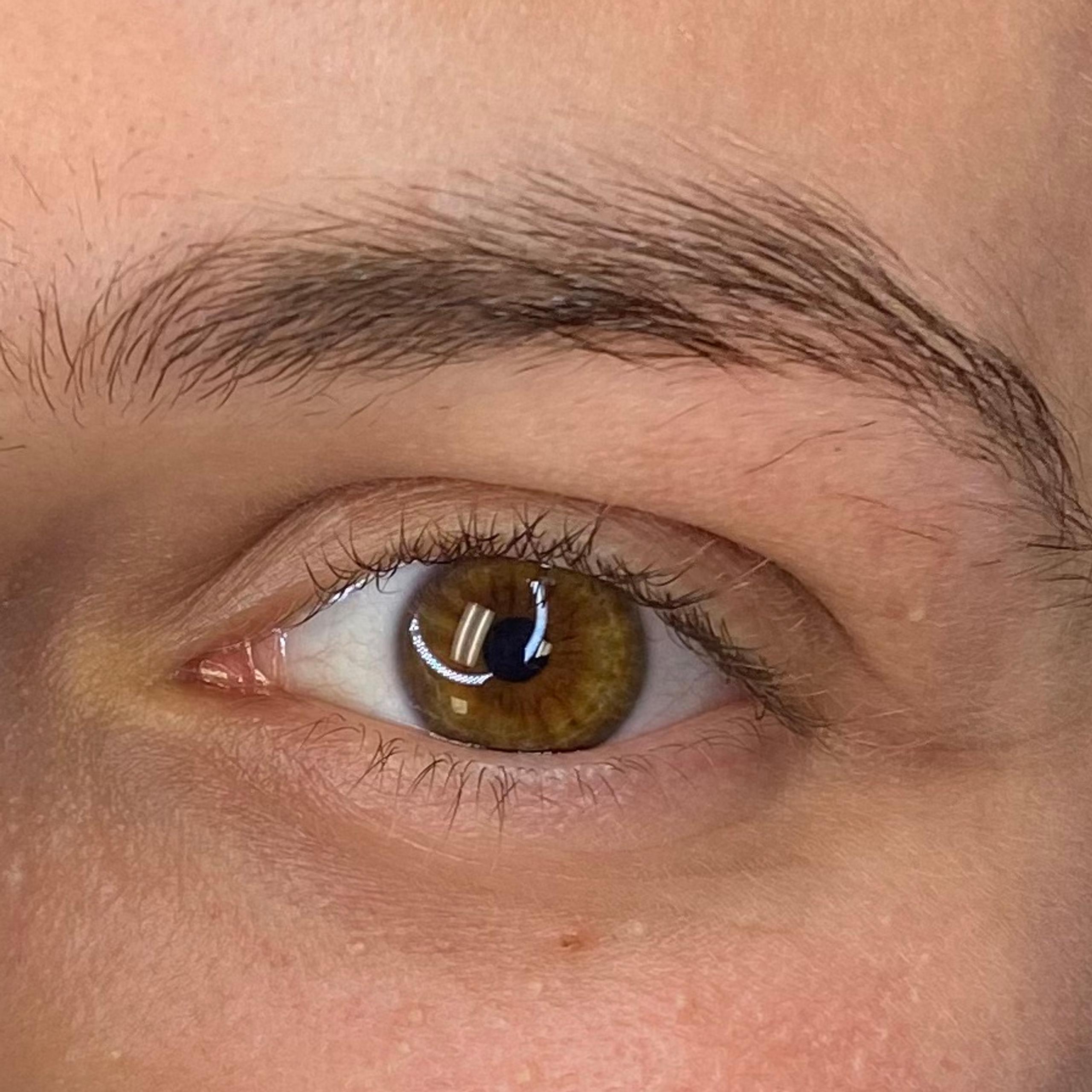Close-up of a brown human eye with natural eyebrow and eyelashes.