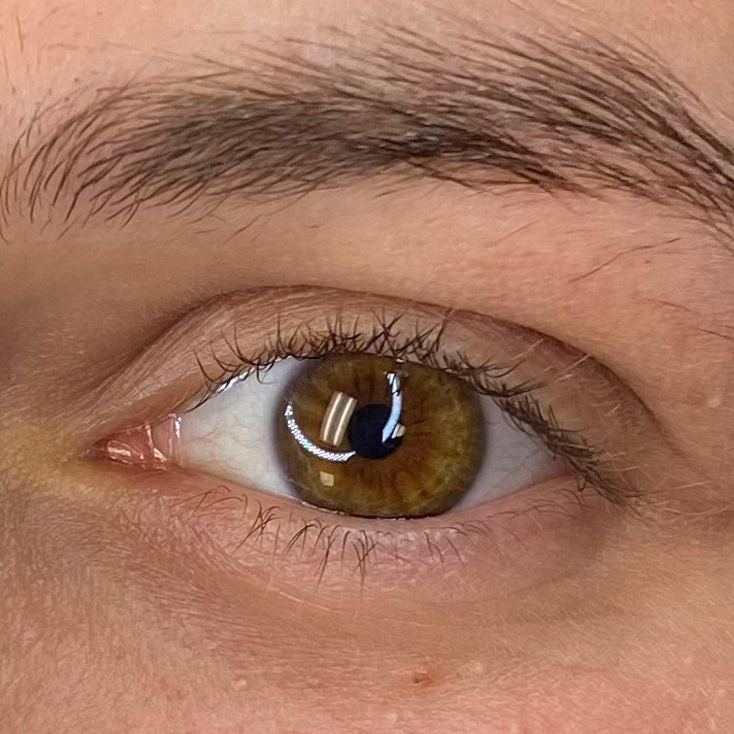 Close-up of a brown human eye with natural eyebrow and eyelashes.