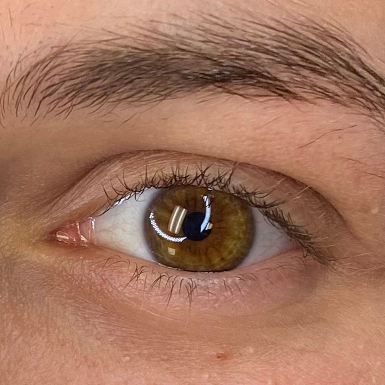 Close-up of a brown human eye with natural eyebrow and eyelashes.