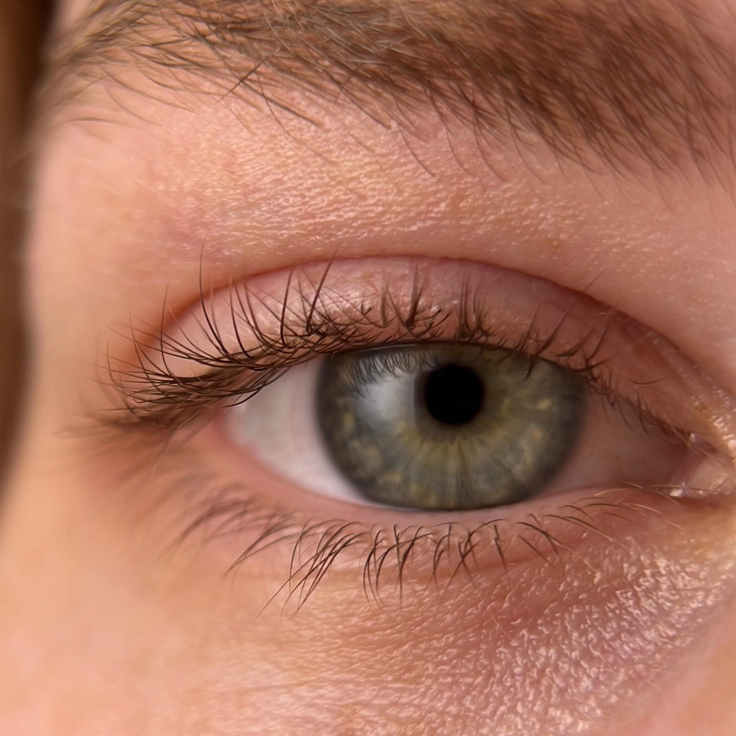 Natural lashes before a lash lift.