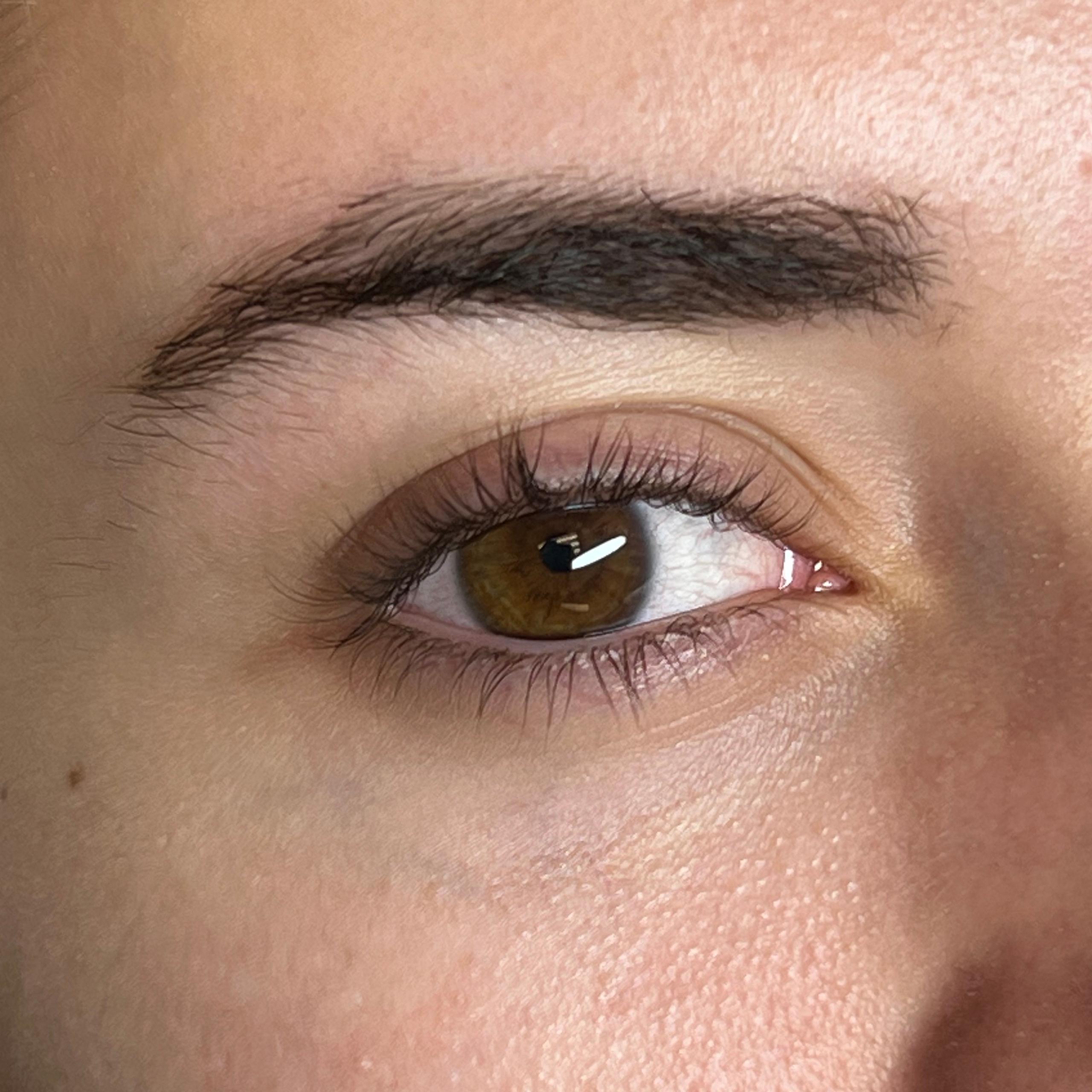 Close-up of a brown eye with natural lashes and a dark eyebrow.