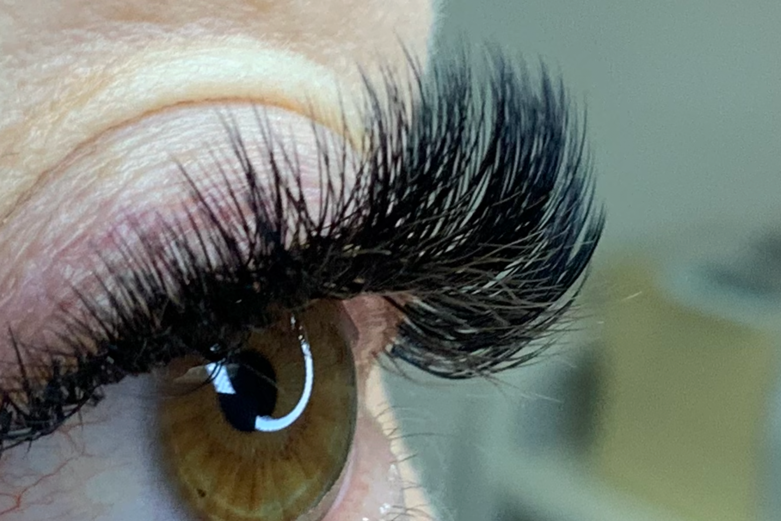 Close-up of a brown eye with dramatic, voluminous black eyelash extensions.