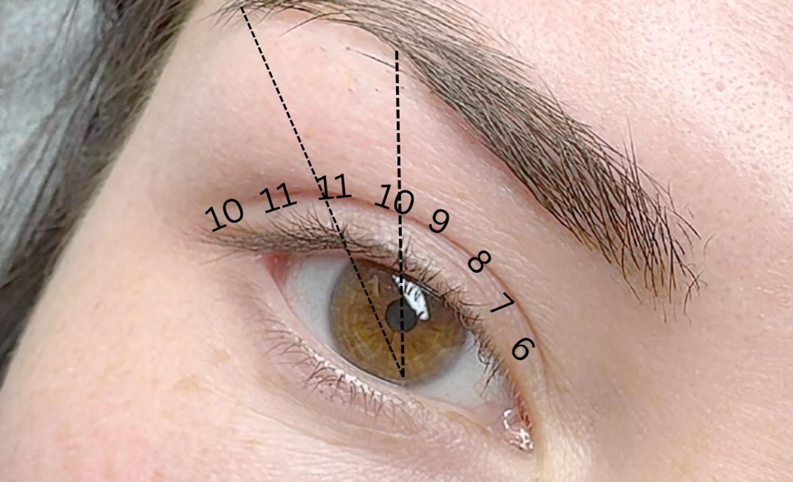 Close-up of an eye and eyebrow with brow mapping using dashed lines and numbers.