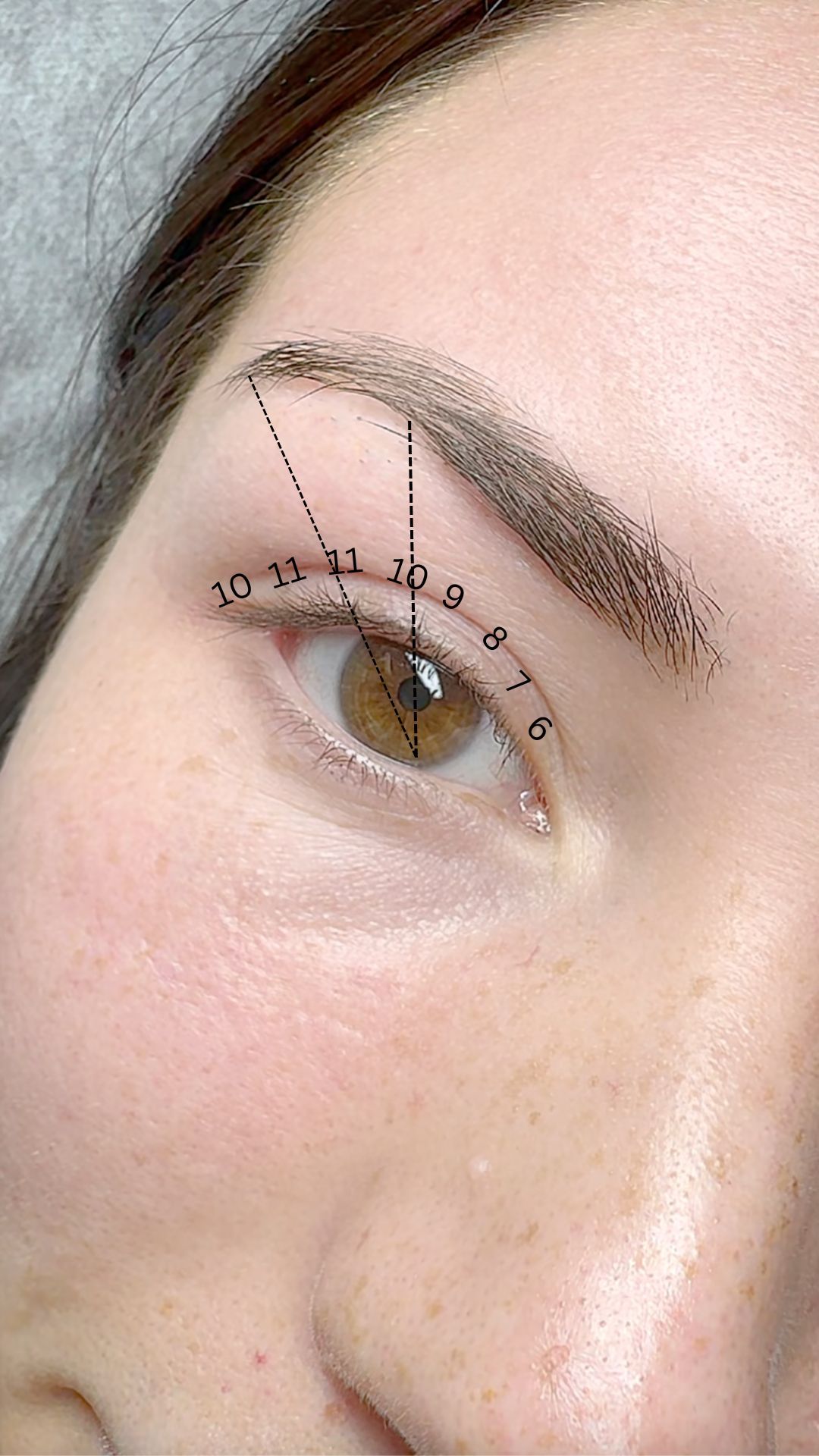 Close-up of an eye with dashed lines and numbers indicating a lash mapping or styling guide.