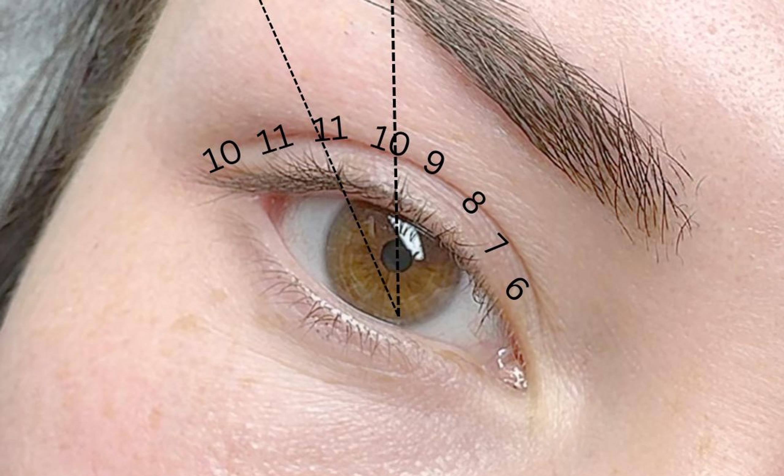 Close-up of an eye with dashed lines and numbers indicating a lash mapping or styling guide.