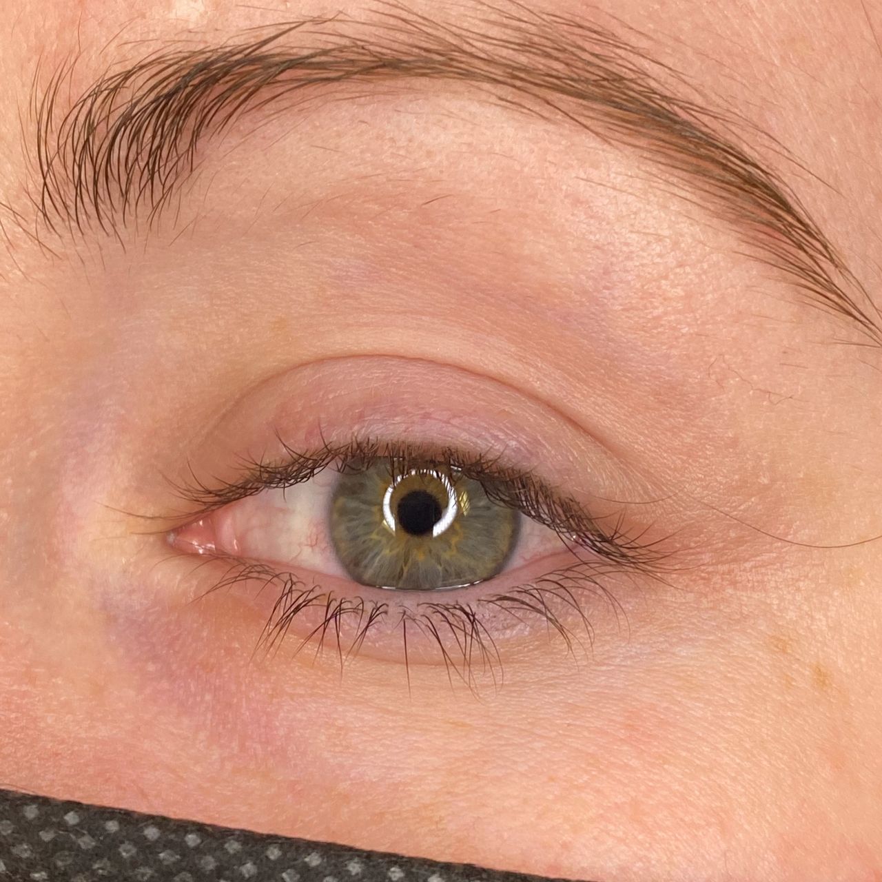 Close-up of a green eye and brown eyebrow