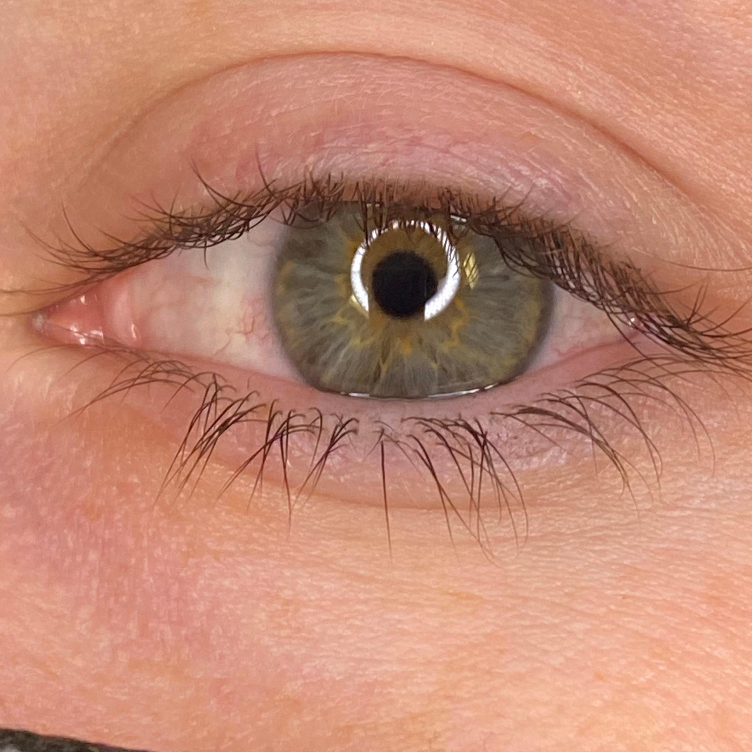 Close-up of a green eye and brown eyebrow