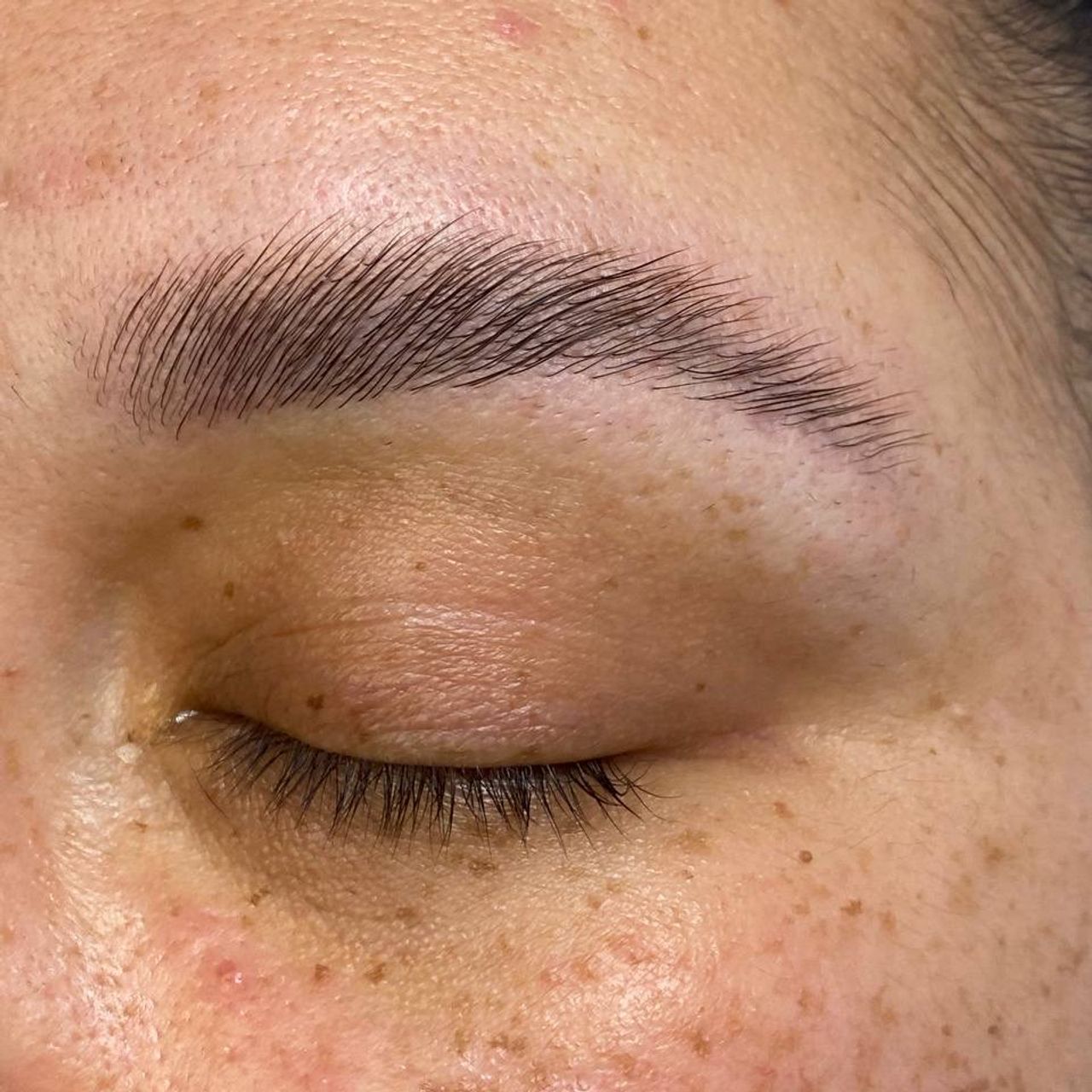 Close-up of a closed eye with laminated, brushed up eyebrows