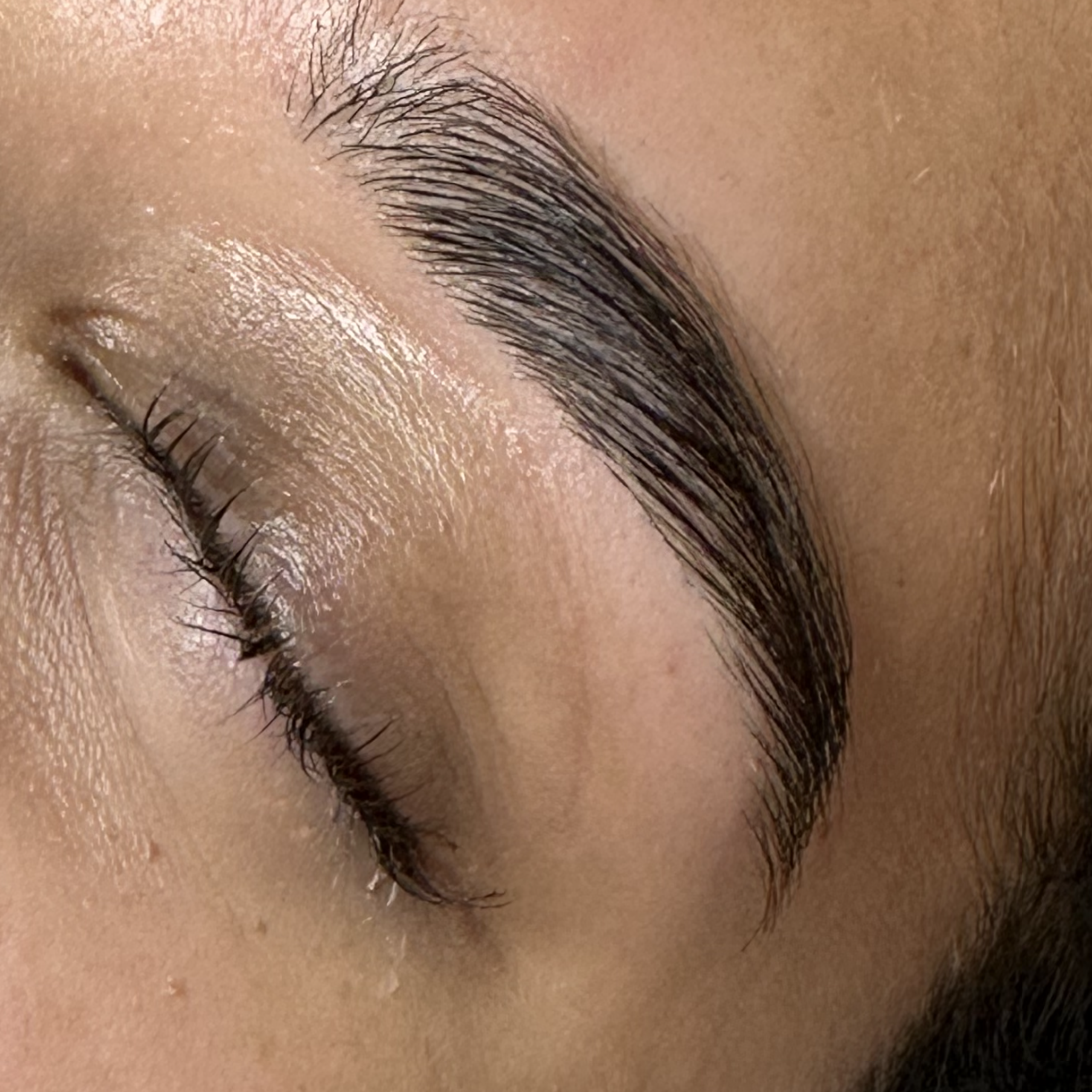Close-up of a closed eye and a glossy, brushed-up eyebrow.