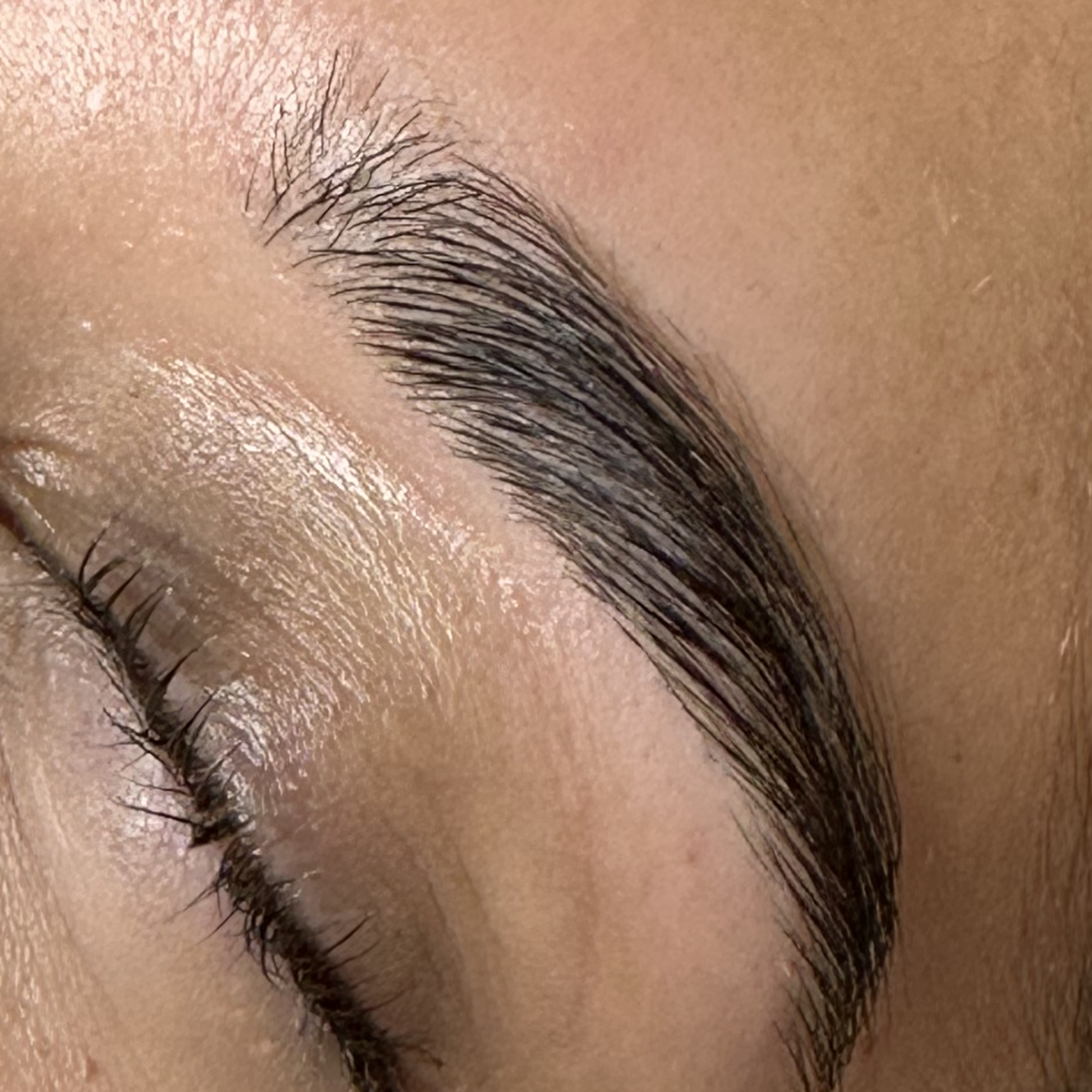 Close-up of a closed eye and a glossy, brushed-up eyebrow.