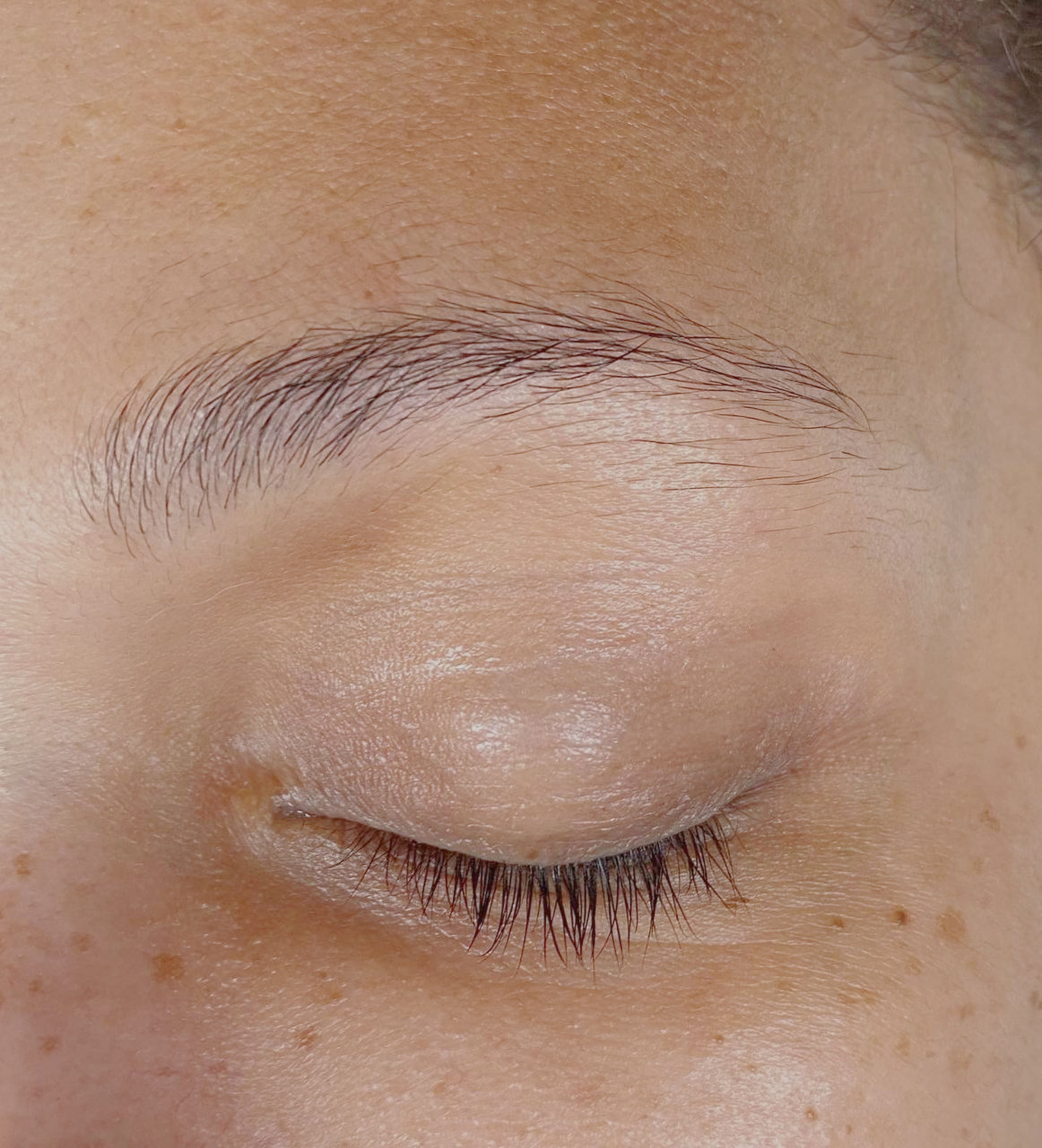 Closed eye and eyebrow of a person