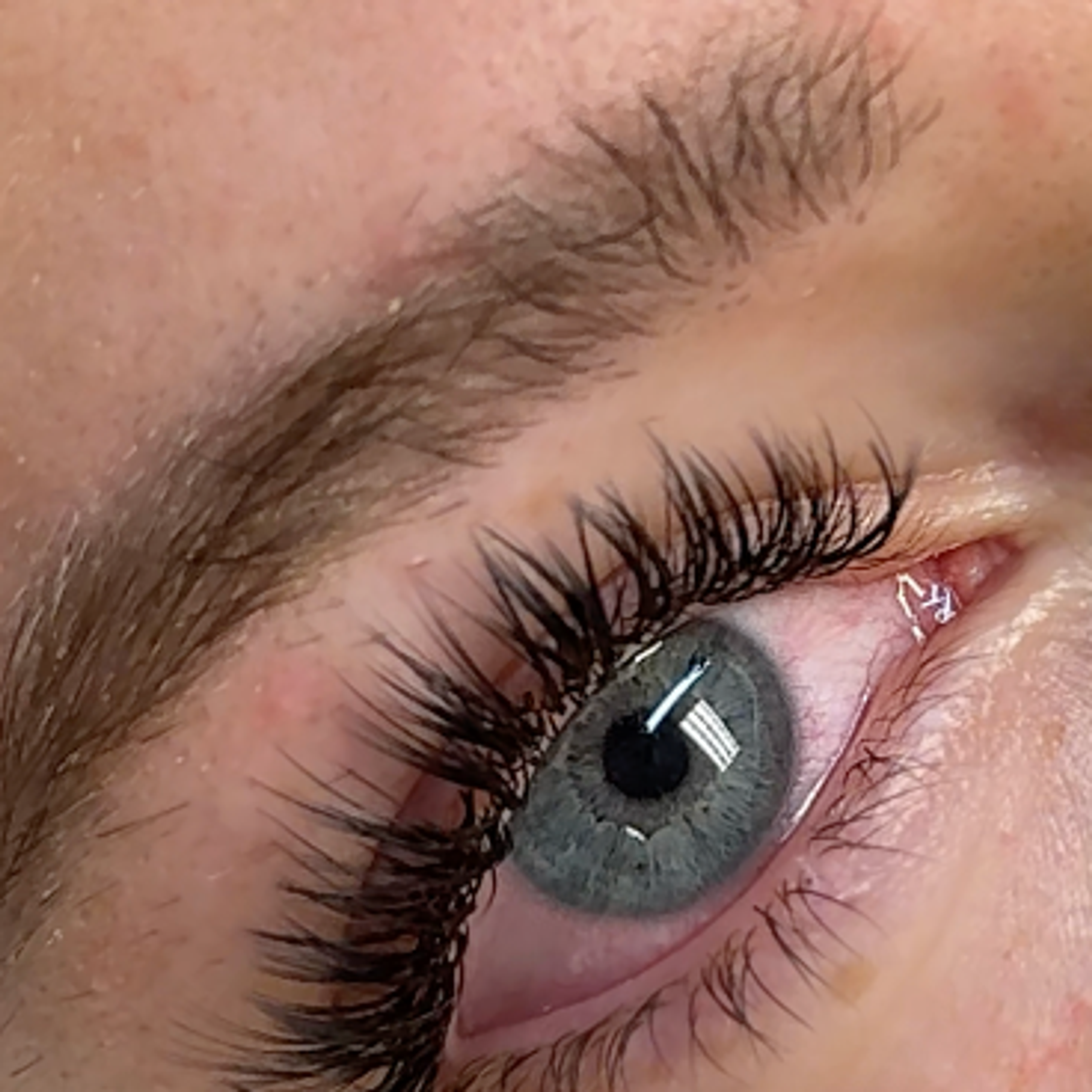 Close-up of blue eyes with long, dark lash extensions.