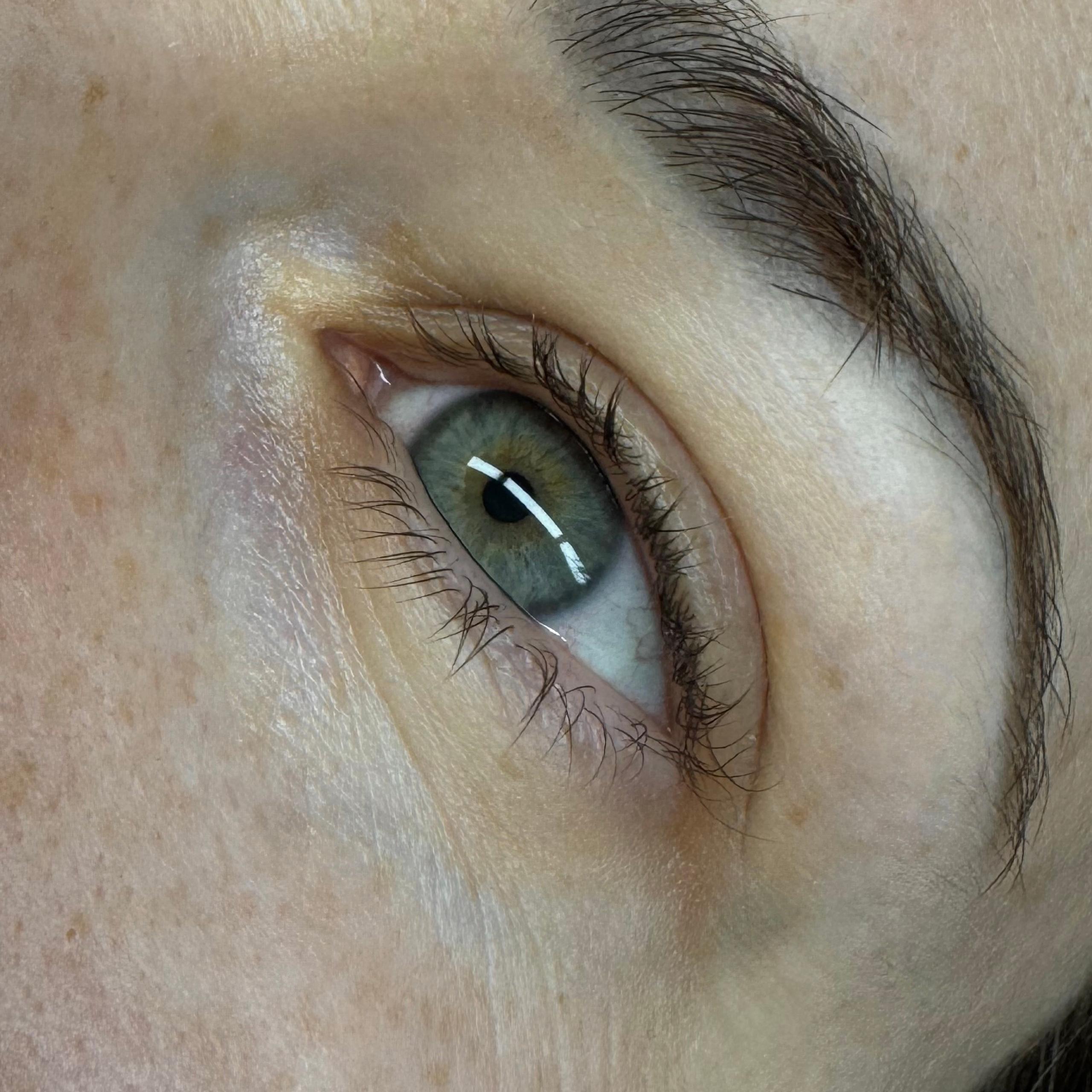 Close-up of a person's two green-grey eyes and brown eyebrows.