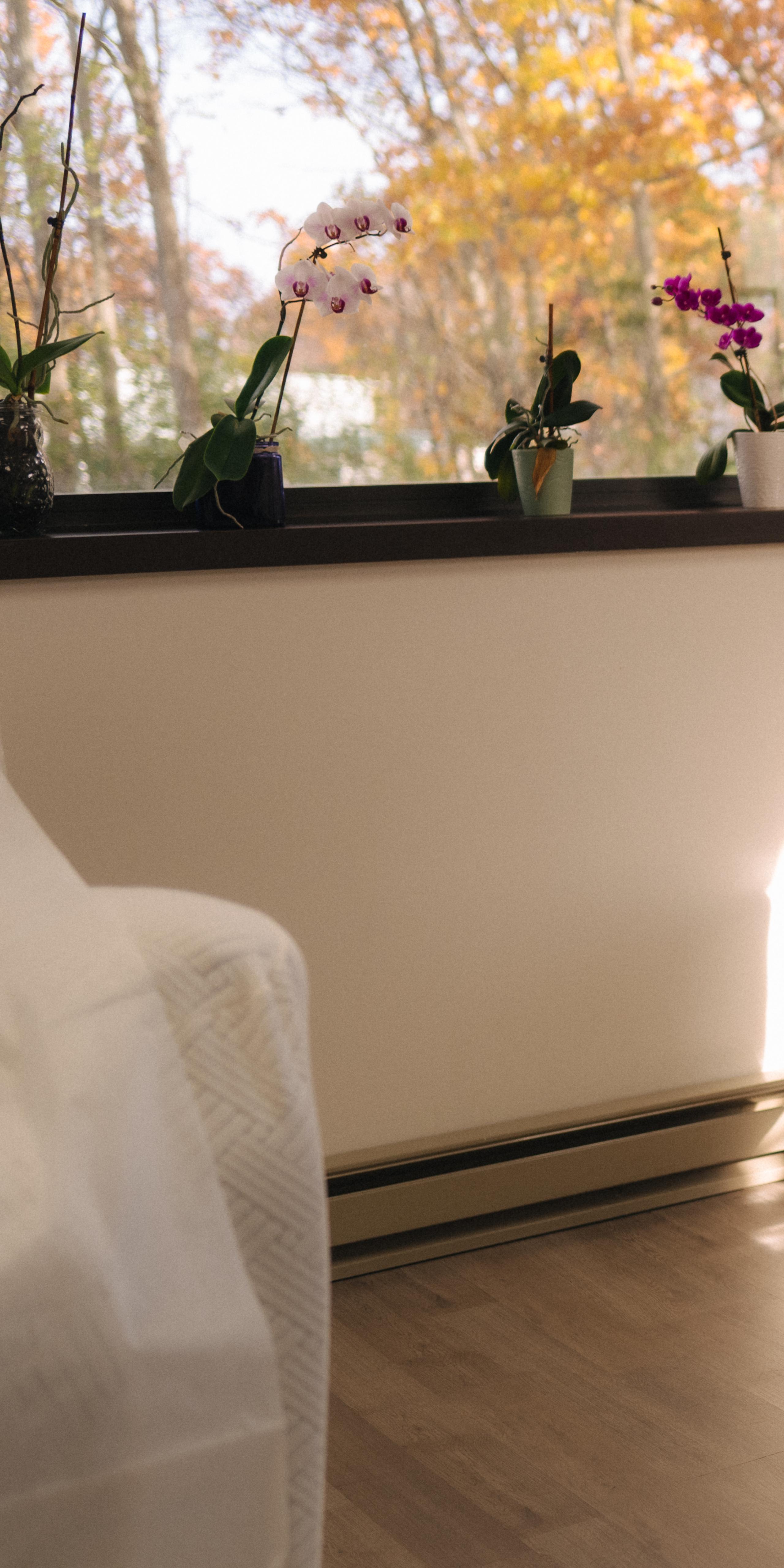 A clean, brightly lit treatment room featuring a white covered treatment chair on a raised platform, with autumn trees visible through two windows.